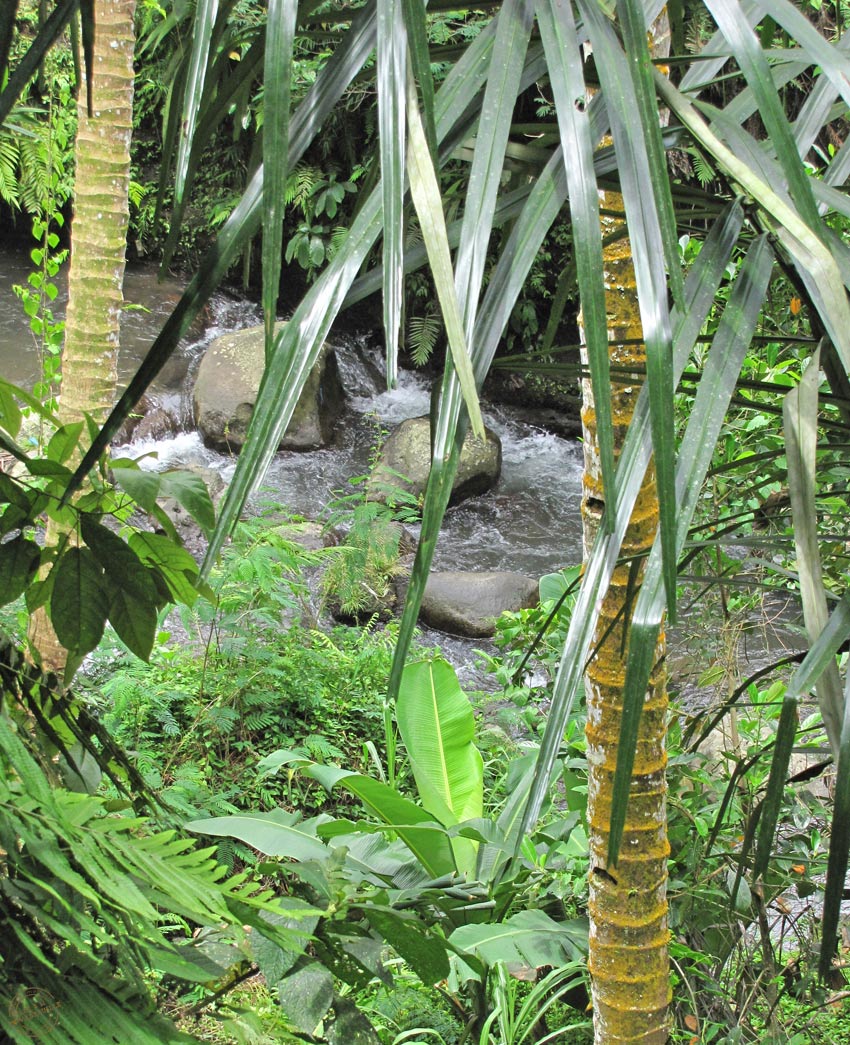 gunung kawi ubud