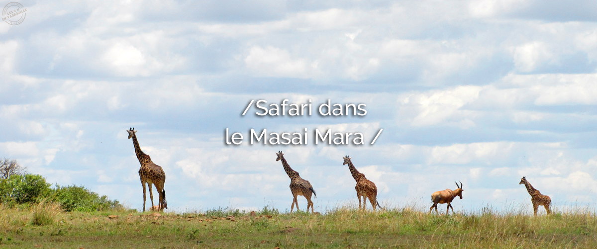 entete-masai-mara