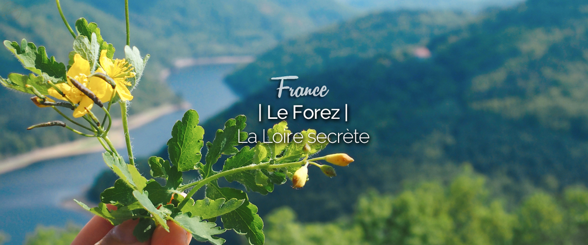 Le Forez, confins secrets de la Loire // Auvergne Rhône Alpes