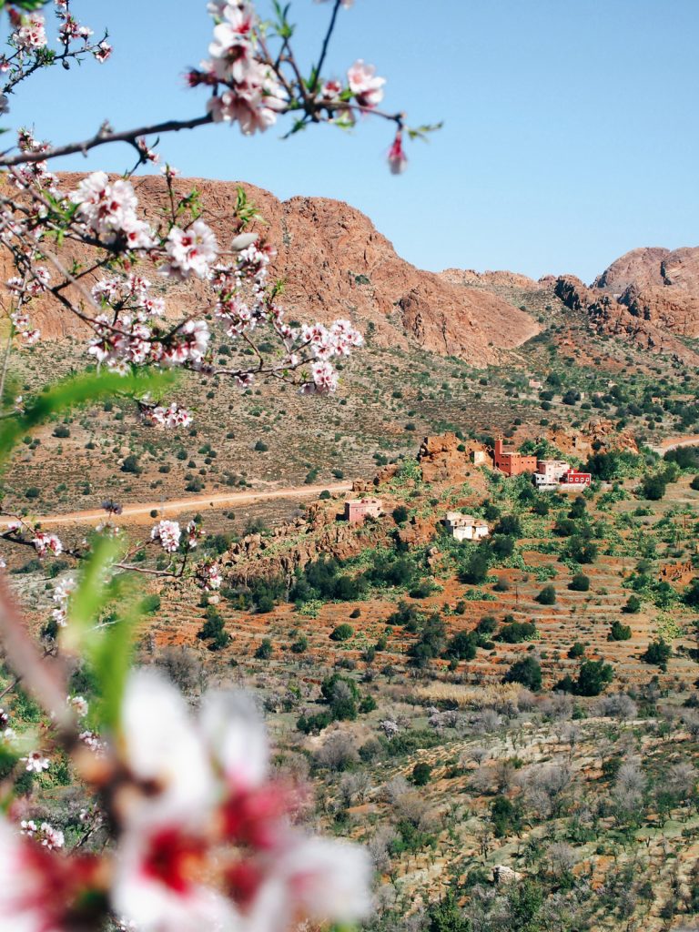 maroctanalttafraout4 Les 3 M en vadrouille Blog voyage