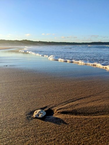 Sodwana Bay Blog voyage plongee famille afrique du sud