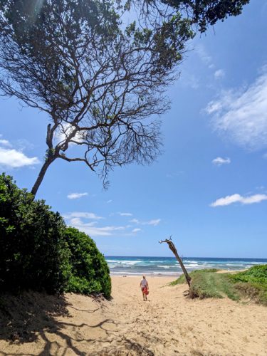 Sodwana Bay Blog voyage plongee famille afrique du sud