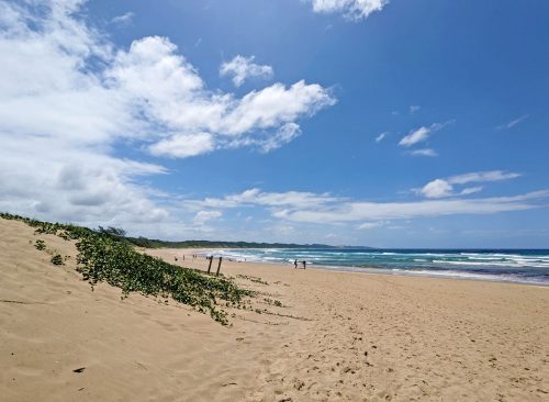 Sodwana Bay Blog voyage plongee famille afrique du sud