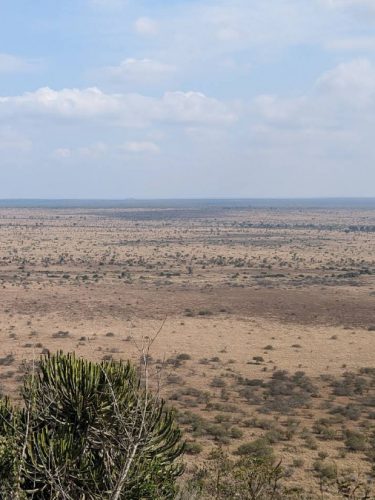 Blog voyage afrique du sud