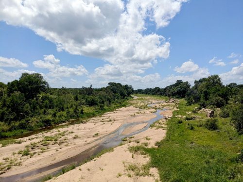 Blog voyage Afrique du sud Kruger