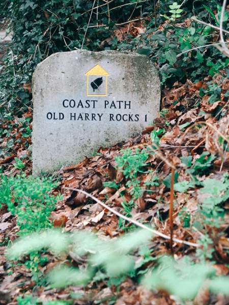 Old Harry Rocks
